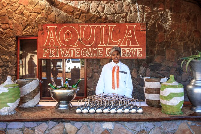 Big Five Game Reserve Wildlife Safari from Cape Town - Price and value: is $184.62 a fair deal from Cape Town?
