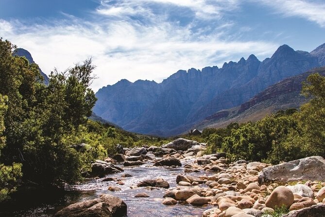 Big Five Safari and Breede River Valley Guided Day Trip - From Cape Town to Aquila: a long day that moves fast