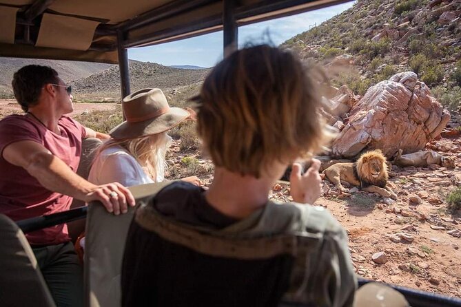 Big Five Safari Experience Near Cape Town ,South Africa - The Ranger-Led Game Drive: 2.5 to 3 Hours of Big Game Searching