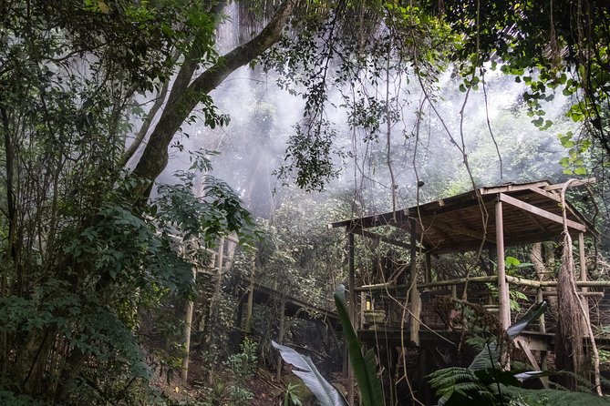 Birds of Eden Admission Ticket - What Makes the Bird Mix Special: Species You Can Actually Name