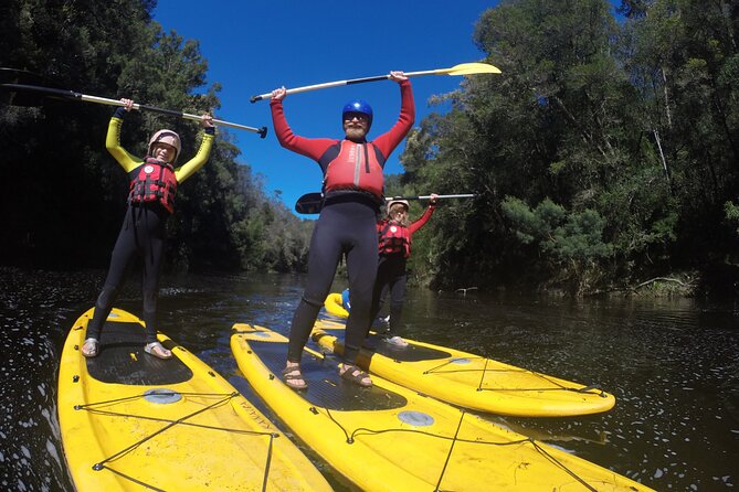 Blackwater Tubing Green Route Forest Adventure - Inside the Plaatbos Green Route, where tubing and SUP meet