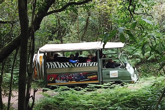 Blackwater Tubing Green Route Forest Adventure - Sandy beach break, then the 250m rocky riverbed walk with your tubes