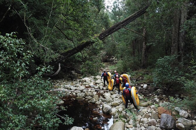 Blackwater Tubing Green Route Forest Adventure - SUP on the river: how the combo stays fun instead of technical