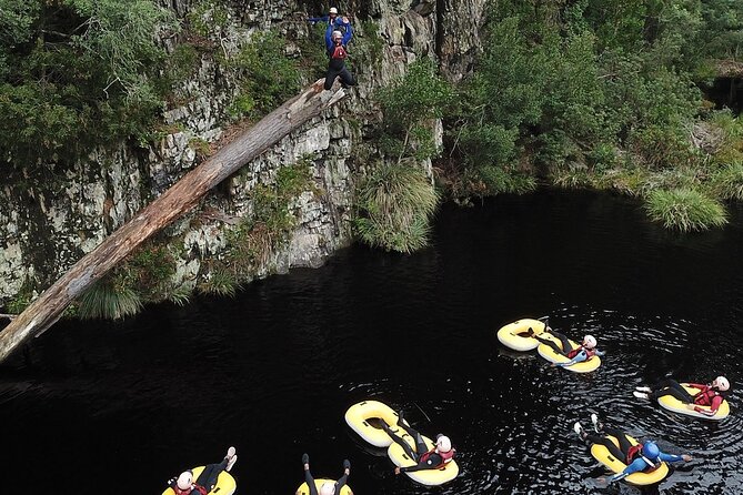Blackwater Tubing Green Route Forest Adventure - What you actually see in the Tsitsikamma forests, besides water