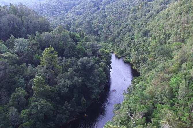 Blackwater Tubing Green Route Forest Adventure - Price and value for a 3-hour private outing in Plaatbos