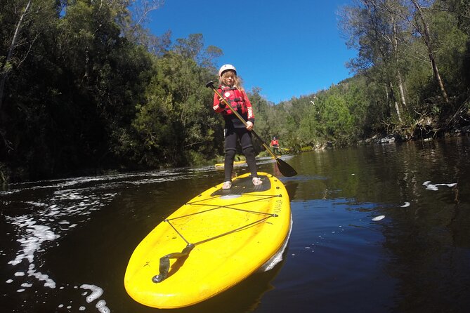 Blackwater Tubing Green Route Forest Adventure - Who this Green Route fits best, and who should think twice