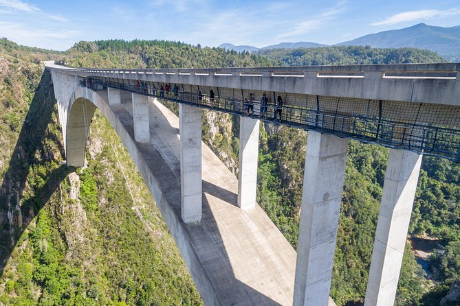 Bloukrans Bungy, the worlds best bungy jump! - Bloukrans Bridge Bungee at 709 Feet: The wow factor in plain terms