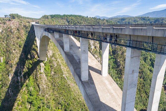 Bloukrans Skywalk Tour and HangOut Zone - Skywalk 216m up, with bungy views from the bridge arch