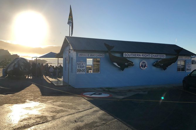 Boat Based Whale Watching from Hermanus - FAQ