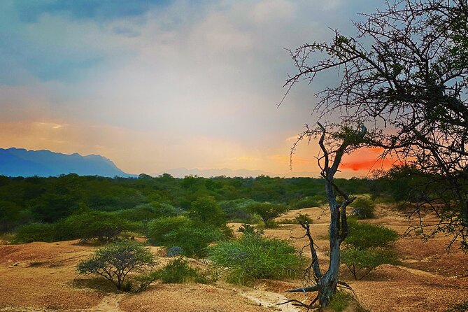 Boat & Safari Combo - Blyde Dam Boat Cruise & Private Safari - Who this trip suits best in Kruger country
