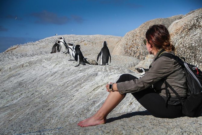 Boulders Beach Cape Town: Swimming With Penguin & Close Encounter Half Day Tour - Simon’s Town and Just Nuisance: a short stop with charm