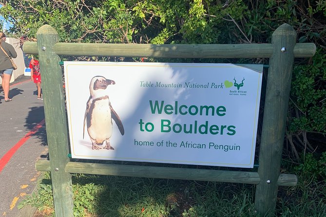 Boulders Beach Penguins and Seal Island Boat Trip Half Day Tour - Cost, Value, and What You Still Need to Pay