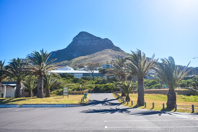 Boulders Beach Penguins Half Day Tour - Chapman’s Peak Drive, the coastal road that does the heavy lifting