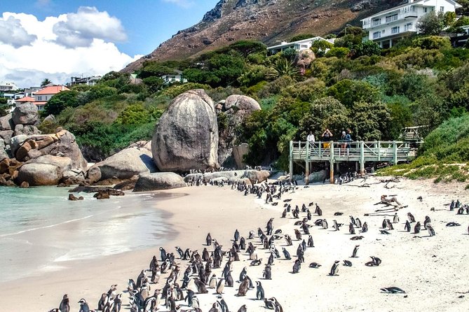 Breath-taking Cape Peninsula Tour - Reaching the Cape of Good Hope Lighthouse Area for Photos
