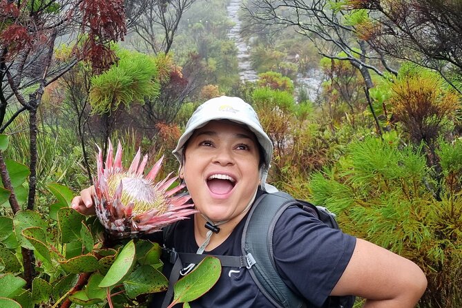 Breathtaking Table Mountain Guided Hike - Off the Beaten Track! - Weather matters more than you think