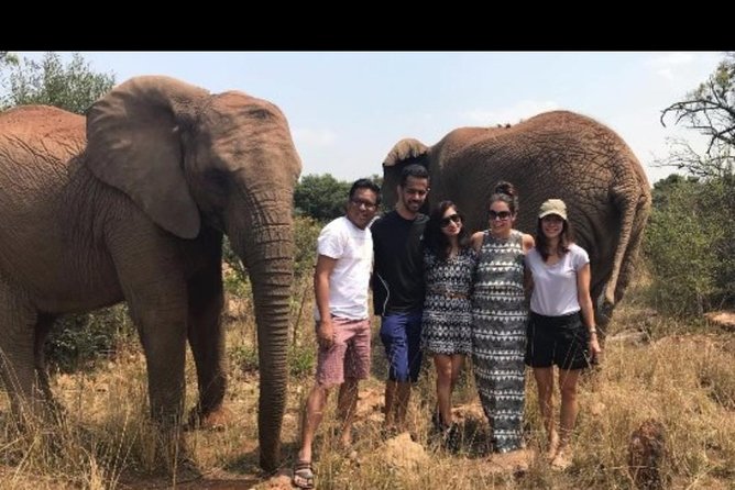 Bush Babies & Monkey Sanctuary and Elephants walk Private - Pickup in Johannesburg, and why private matters more than you think
