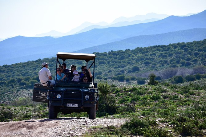 Bush Safari - Key Things That Make This Bush Safari Worth Your Time
