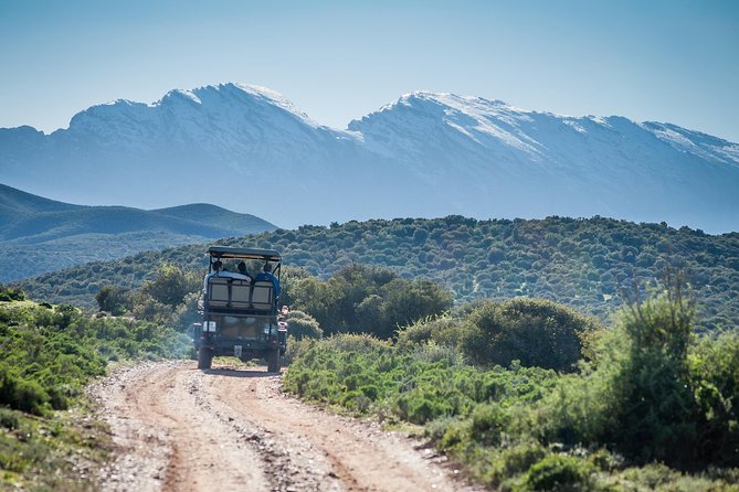 Bush Safari - Who Should Book This Bush Safari (and Who Might Want Another Option)