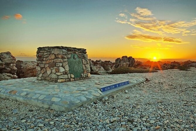 Cape Agulhas Full Day Private Tour - Stony Point penguins: the wildlife stop that gives structure to the day