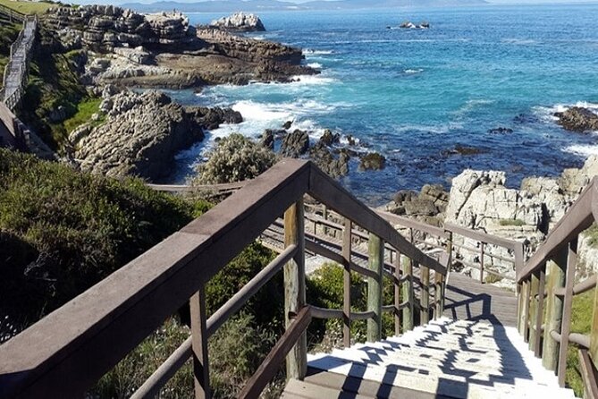 Cape Agulhas Full Day Private Tour - Private tour value: more control, fewer compromises