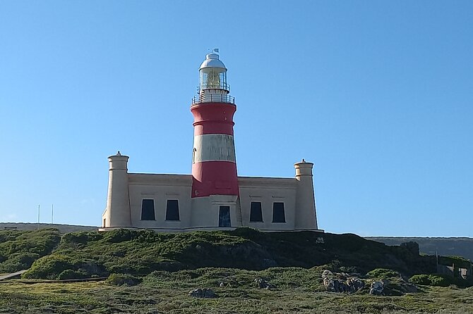 Cape Agulhas Full Day Private Tour - What to pack for a day that runs 12 hours