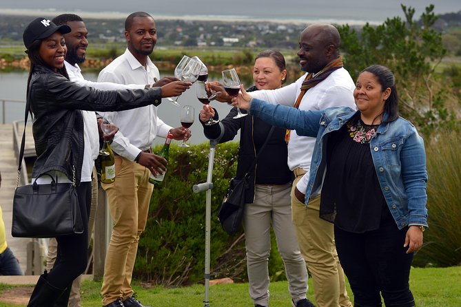 Cape Agulhas Full Day Private Tour from Cape Town - Stony Point Nature Reserve: your best penguin window