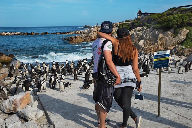 Cape Agulhas Full Day Private Tour from Cape Town - How to plan your day so it feels easy