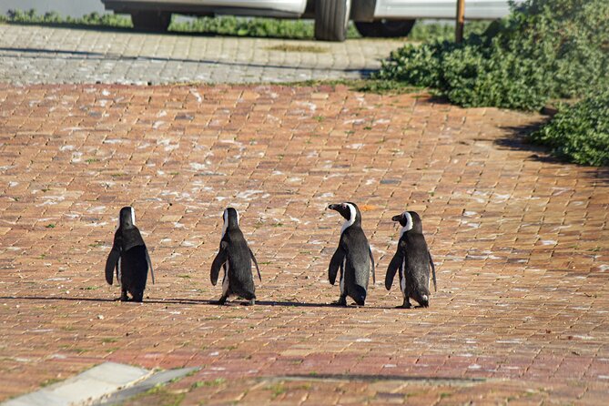 Cape Agulhas Full Day tour - Hemel en Aarde Wine Tasting at Hamilton Russell: Cool-Climate Flavor, Not a Tourist Drive-By