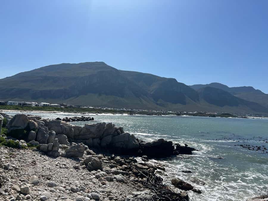 Cape Agulhas, Hermanus whales & Wine Tasting Day Trip - Stony Point Nature Reserve penguins: the walking part you’ll remember