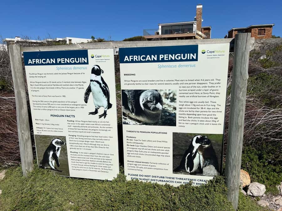 Cape Agulhas, Hermanus whales & Wine Tasting Day Trip - Stellenbosch wine tasting in the Cape Winelands
