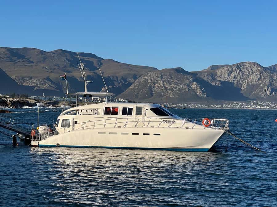 Cape Agulhas, Hermanus whales & Wine Tasting Day Trip - Price and logistics: is $264 good value?