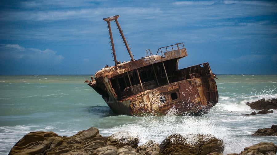 Cape Agulhas: Private Day Tour to Africa's Southernmost Tip. - How the 8-hour itinerary works in real life