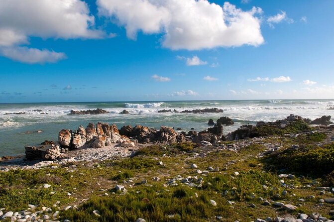 Cape Agulhas Southern most Tip of African Continent Full Day Tour - Key things I’d plan for