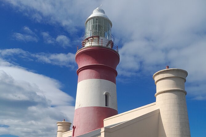 Cape Agulhas Southern Point of Africa Private Tour - Key highlights to know before you go