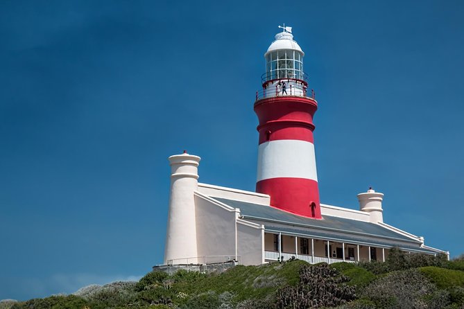 Cape Agulhas | Stony Point Nature Reserve - The Shipwreck Museum in Bredasdorp: why this coast earned its nickname