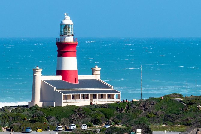 Cape Agulhas | Stony Point Nature Reserve - What to pack and how to make the day feel smoother