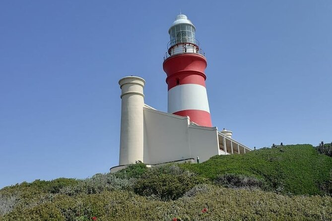 Cape Agulhas Tour - Door-To-Door Transport From Cape Town, Without The Bus Puzzle