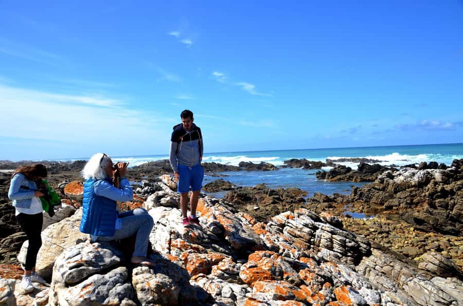 Cape Agulhas Tour from Cape Town - Key highlights worth your attention