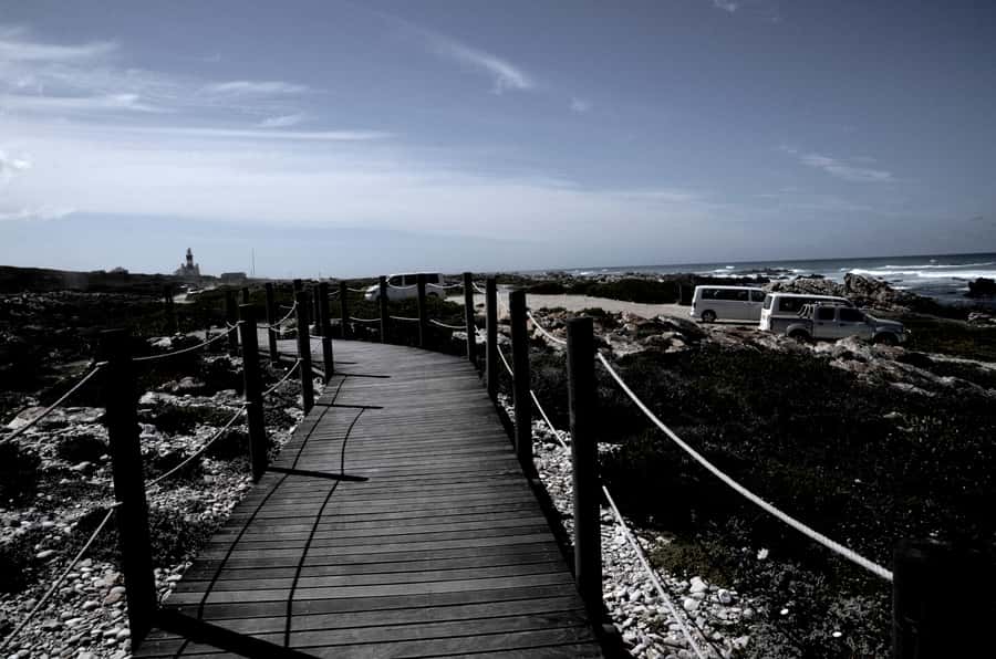 Cape Agulhas Tour from Cape Town - Cape Agulhas official area, the oceans meeting, and how to use your 30 minutes