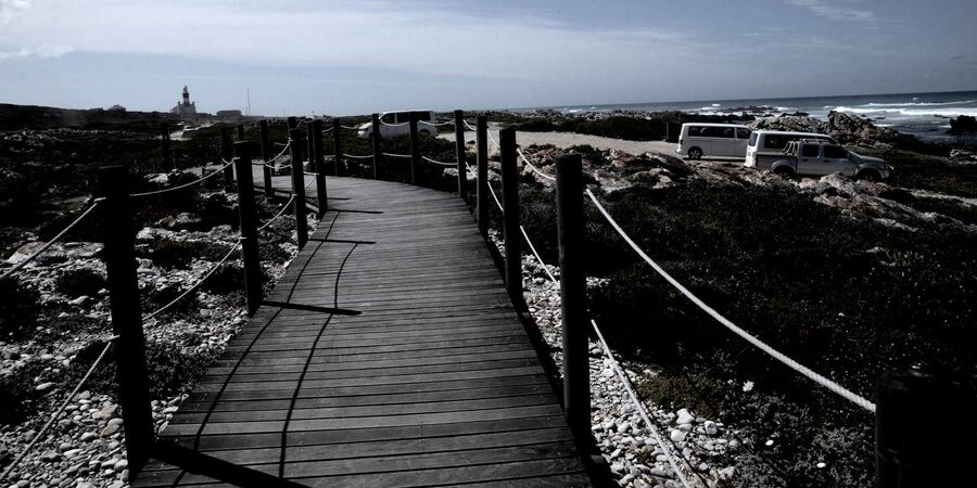Cape Agulhas Tour from Cape Town - Lunch timing, what is not included, and how to plan your spending