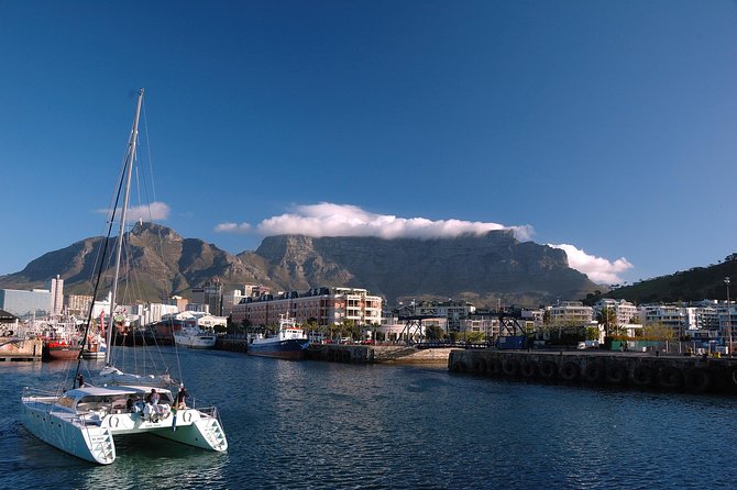Cape City Like-a-Local Full Day Tour with Private Guided Transfer - Company’s Gardens and city-center walking: pretty parks plus real context