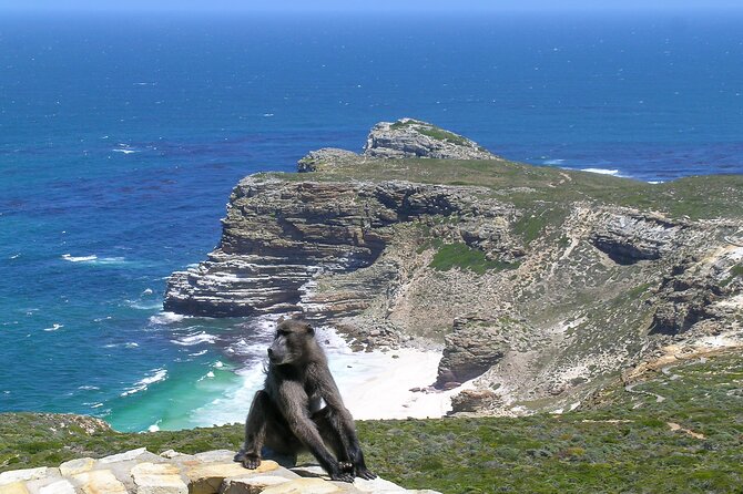 Cape of Good Hope and Boulders Beach Group Tour in Cape Town - Cape of Good Hope: the ocean meeting point feeling