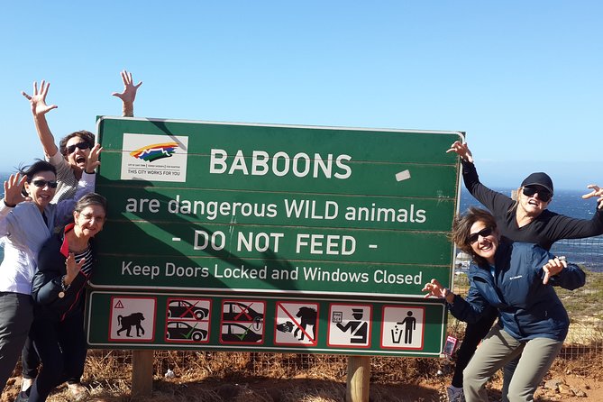 Cape of Good Hope and Cape Winelands Day Tour from Cape Town - Clifton and Camps Bay, where the coast starts to feel personal