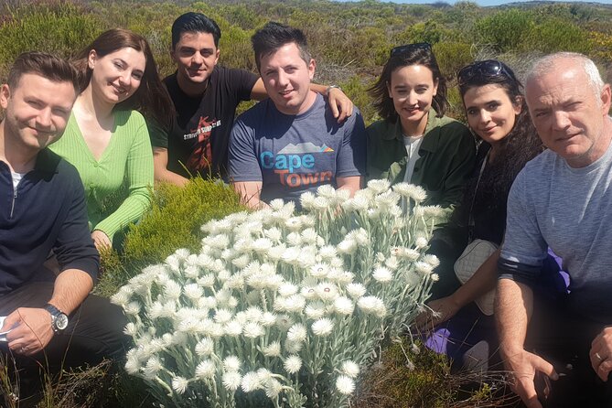 Cape of Good Hope and Cape Winelands Day Tour from Cape Town - Stellenbosch in the Winelands, wine tasting or a shopping walk