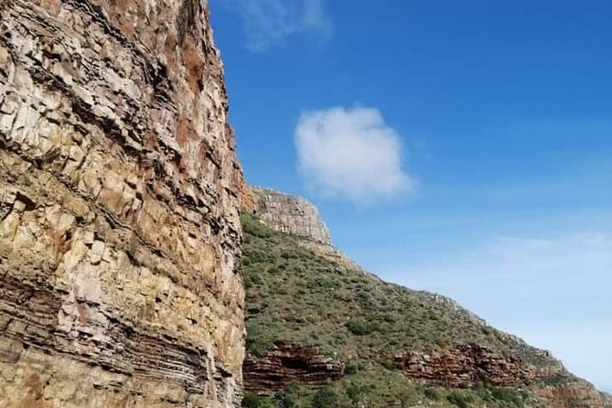Cape of Good Hope and Penguin Beach Tour in Cape Town - Camps Bay, Clifton views, and Maiden’s Cove photo windows