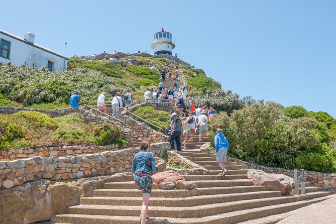 Cape Of Good Hope and Penguins Full Day Small Group Tour from Cape Town - Chapman’s Peak Drive Viewpoint: Short Time, Big Payoff