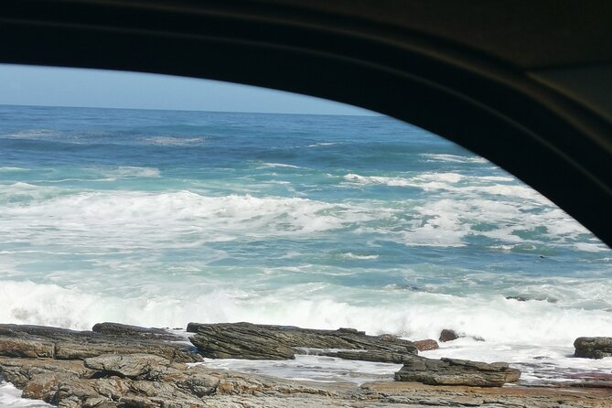Cape of Good Hope and Penguins Full Day Tour from Cape Town - Hout Bay: fishing harbor energy and quick culture time