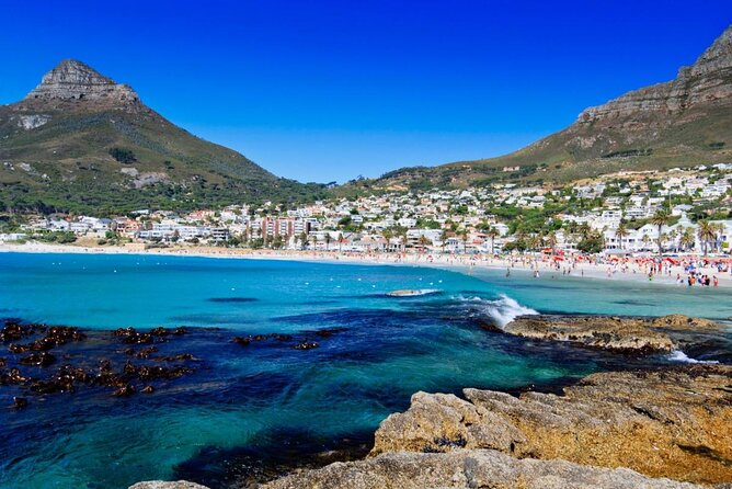 Cape of Good Hope and Penguins - Small Group - Full day - Key Things You Should Know Before You Go