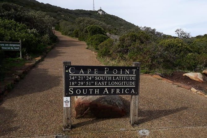 Cape of Good Hope and Penguins - Small Group - Full day - Price and What Your $45 Actually Buys