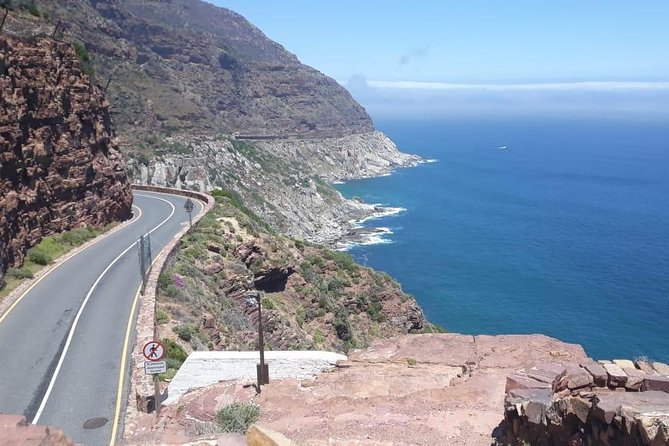Cape of Good Hope and Penguins - Small Group - Full day - Chapmans Peak Drive: The Photo Stop That Feels Like a Detour Worth It